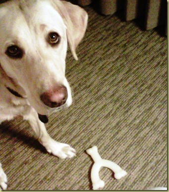 Close up of Reyna's face in the hotel room with her wishbone.