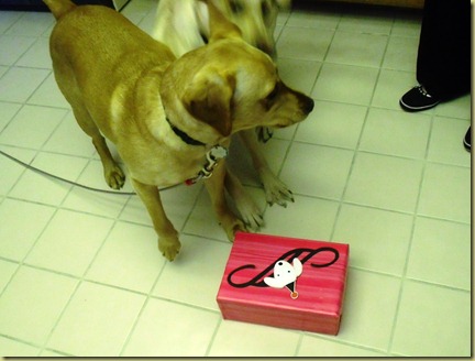 Wendy and Reyna checking out the present that is on the kitchen floor.