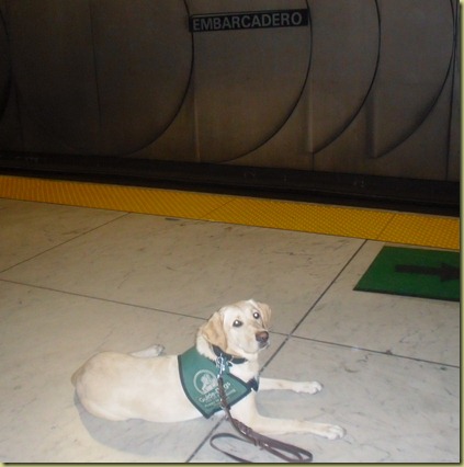 Reyna laying down at the Embarcadero station waiting for the BART train.  Finally on our way home after a long day!