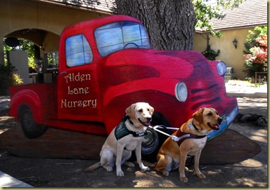 Reyna and Wendy sitting in front of a cut out of an old red truck that says Alden Lane Nursery. 
