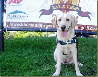 Reyna sitting with the Blues and Brew Festival sign in the background.  Of course, she is smiling for the camera!