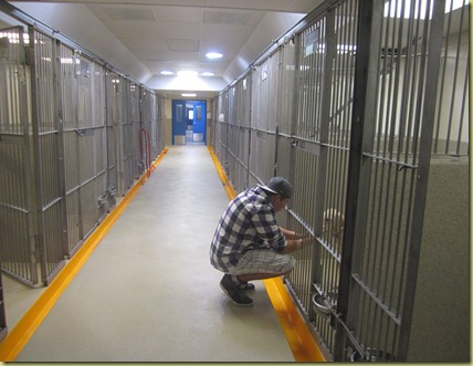 Tyler bending down putting his hands through the kennel bars saying his final good bye to Reyna.