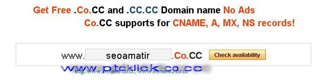 Setting Domain gratis (co.cc) dan dapat Dollar Gratis 
