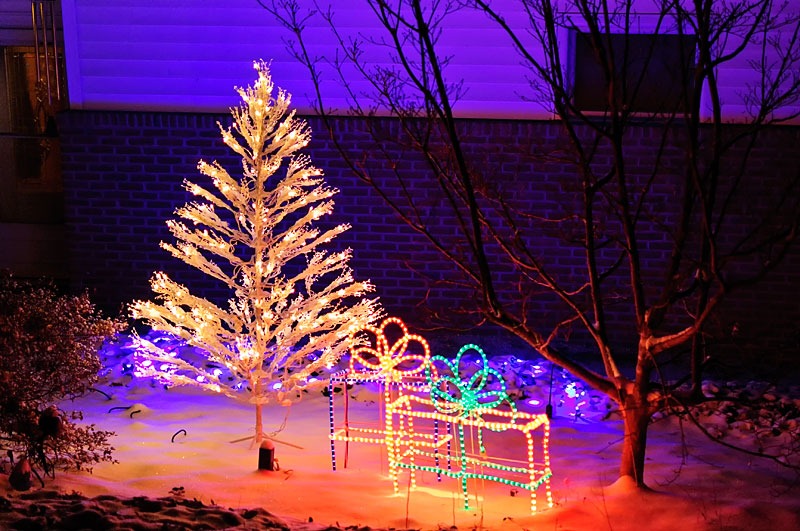 [Christmas_Lights[5].jpg]