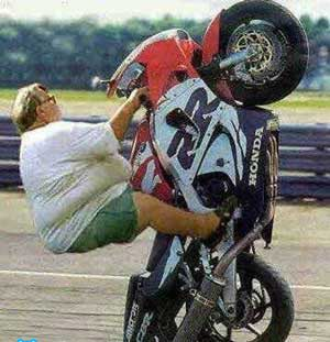 [fatwheelie[1].png]
