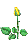 flor62.png