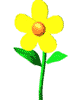 91-floww2.png