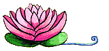 flor4.png