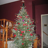 Christmas tree picture