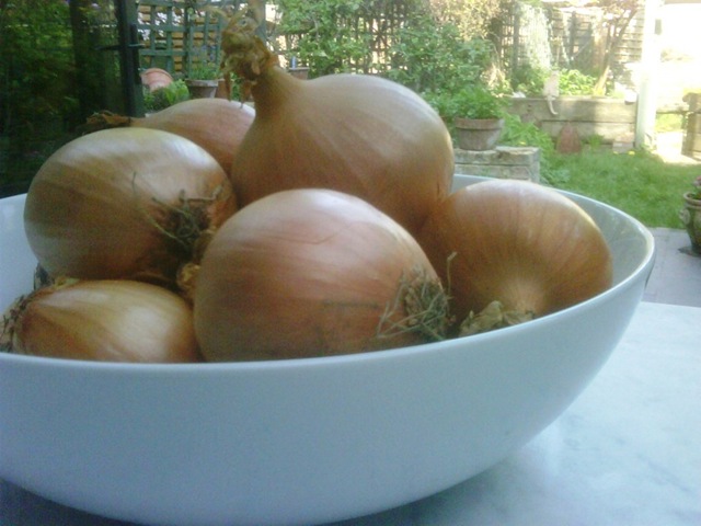 [01 - A bowl of onions[3].jpg]