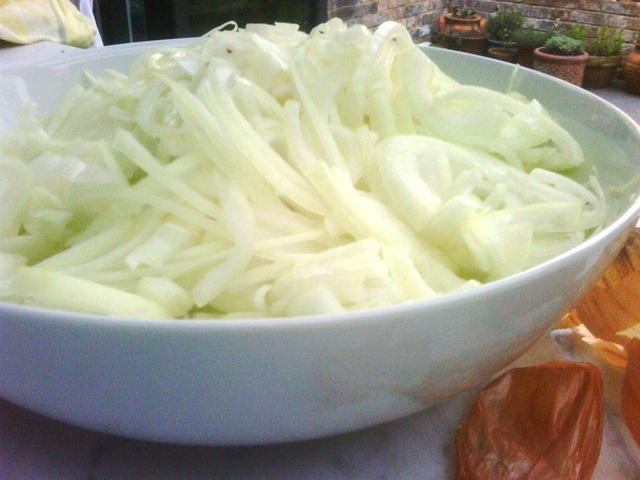 [02 - Chopped onions[3].jpg]