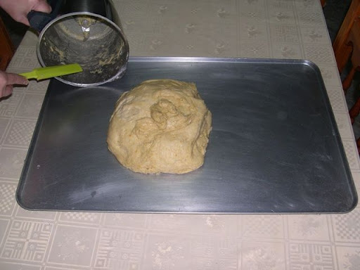 RoscTaga%20034.JPG