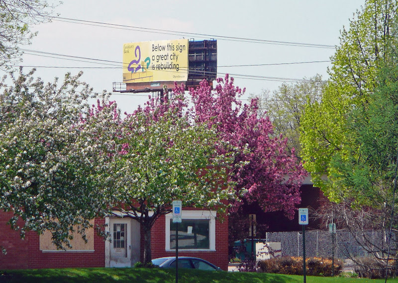 P1040173b.jpg
