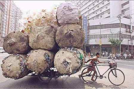 funny-transport_5.JPG