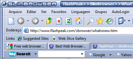 Slim Browser 1
