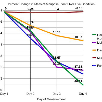 Ap Biology Laboratory 9 Transpiration Answers 77+ Pages Solution [1.35mb] - Updated 