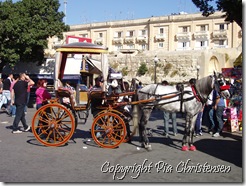 Hestetaxa i Valletta