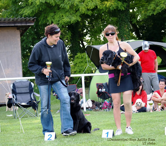 P6264884-1.jpg