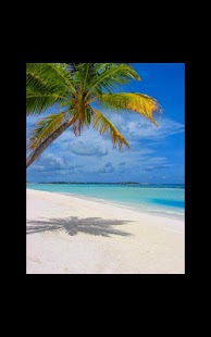 How to install My Photo Wall Beach LWP 1.02 mod apk for laptop