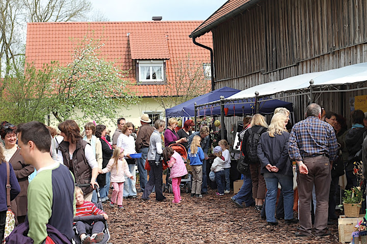alle weiteren Fotos
