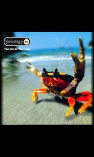 CLZ Music - screenshot thumbnail