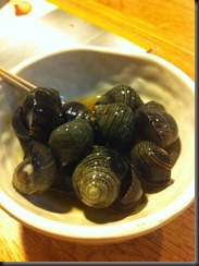 Yoshi's Sea Snails! 033111