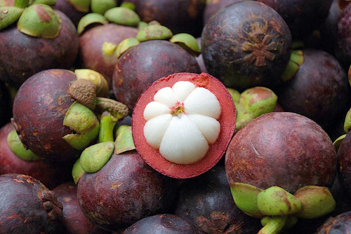 lifetime health benefits and health concern of mangosteen