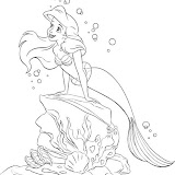 Sirenita en roca.jpg