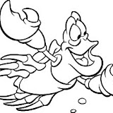 Cangrejo nadando.jpg