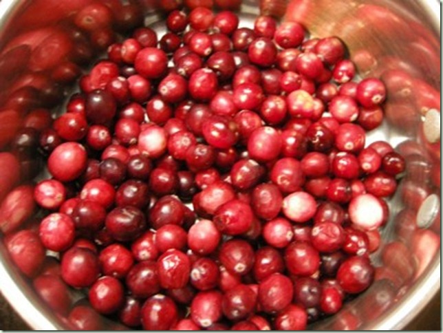 cranberry-stuff-005-400x300