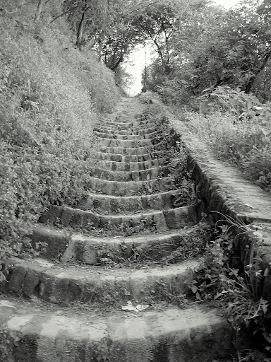 DSCN0166.JPG
