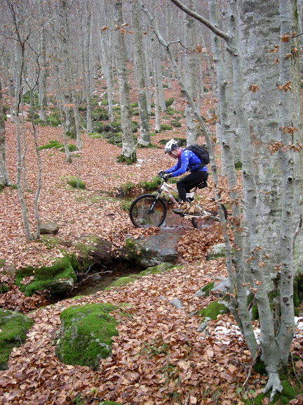 DSCN1748.JPG