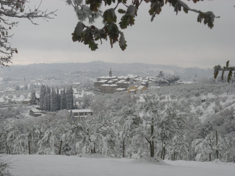 DSCN1931.JPG