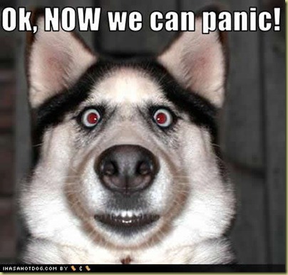 funny-dog-pictures-now-panic