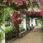 Sevilla - P. Mª Luisa - 0.jpg