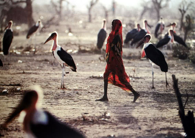 Niña-somalí.jpg