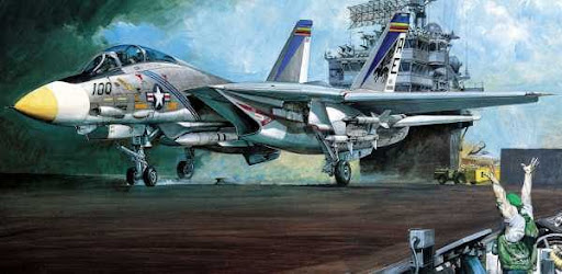 f14 tomcat vs a6m zero. F-14 Tomcat