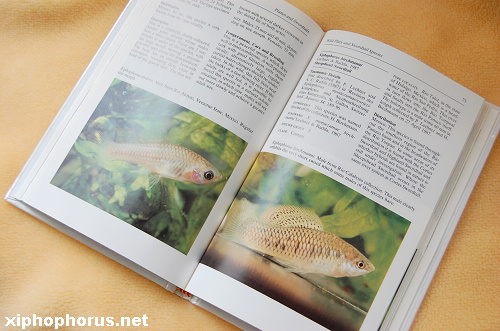 Xiphophorus Net