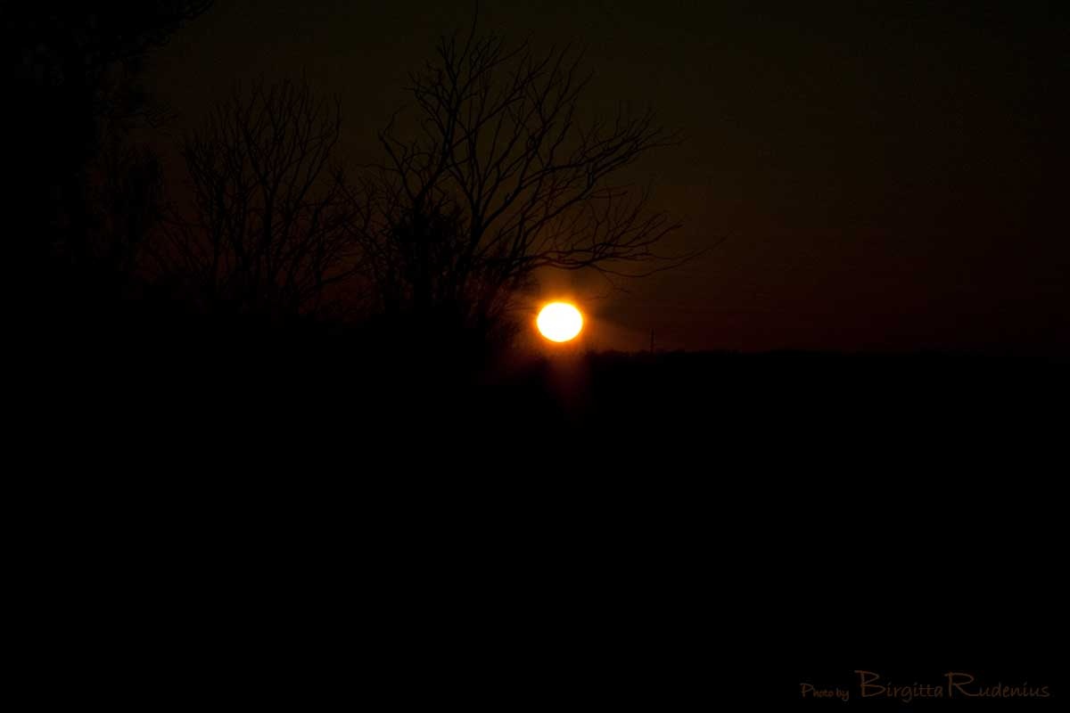 [natur_20110326_solnedgang[2].jpg]