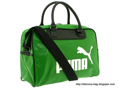 Delivery bag:delivery-1339384