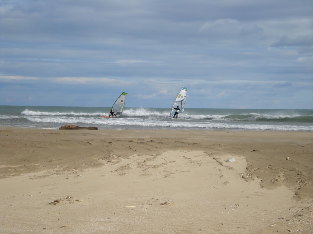 DSC02250.JPG