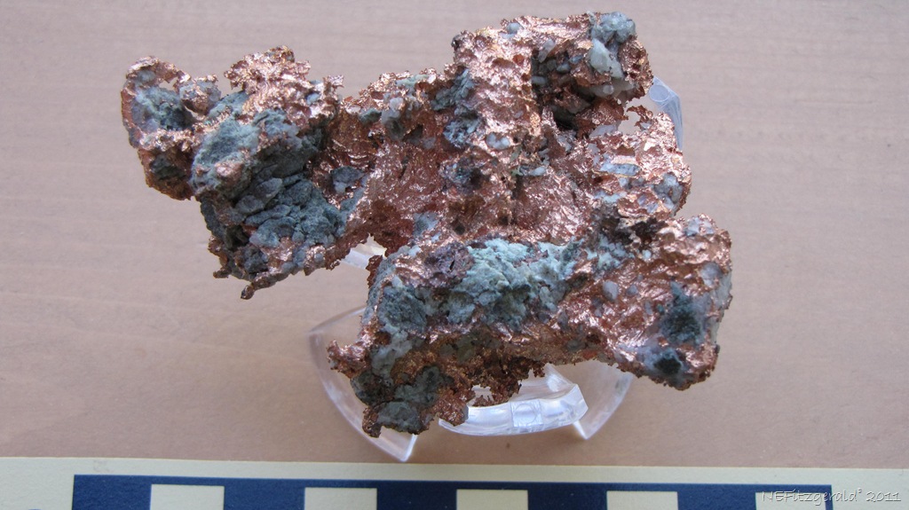 [IMG_5518Copper[11].jpg]