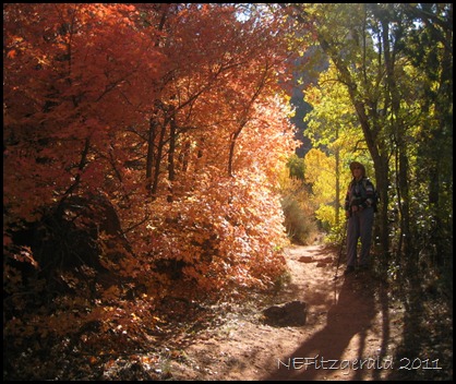 Autumn_ ZionNP