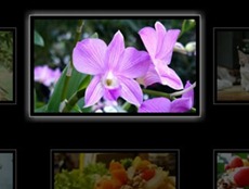 css3gallery_11