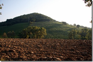IMG_9867 IMG_9867