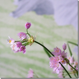 Reggi fiori Reggi fiori