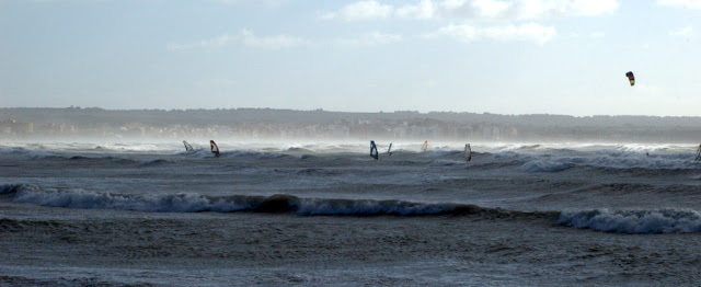 DSC_0777.jpg