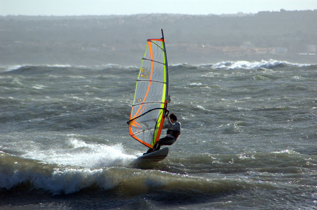 DSC_0891.jpg