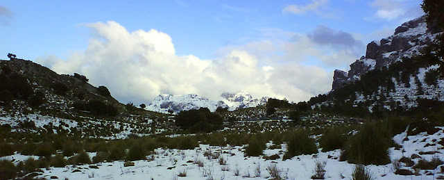 DSC01105.jpg