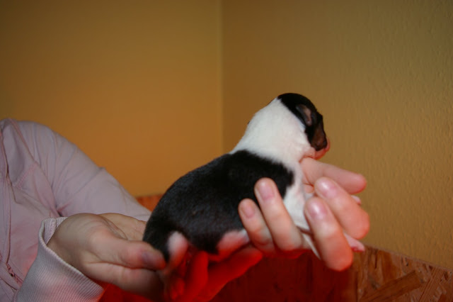 IMGP2933.JPG
